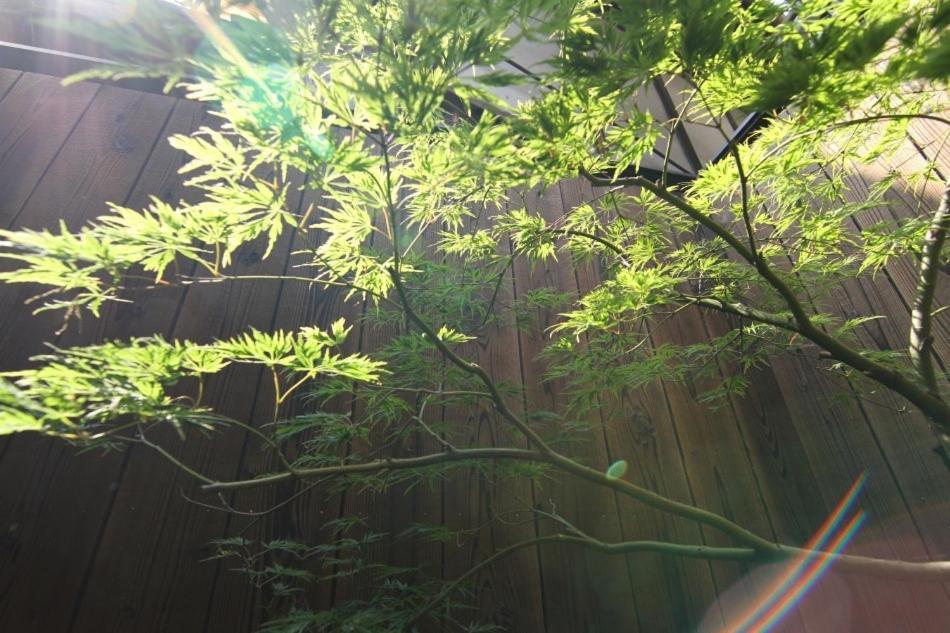 Anzu An Machiya House Villa Kiotó Szoba fotó